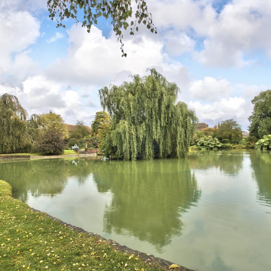 outside lake